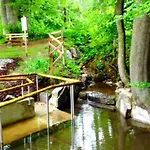 Restaurant Ruettihubelbad Отель Walkringen