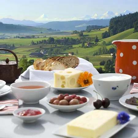 호텔 Restaurant Ruettihubelbad 3*