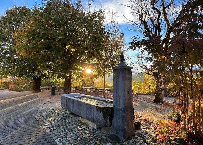 Restaurant Ruettihubelbad 3*